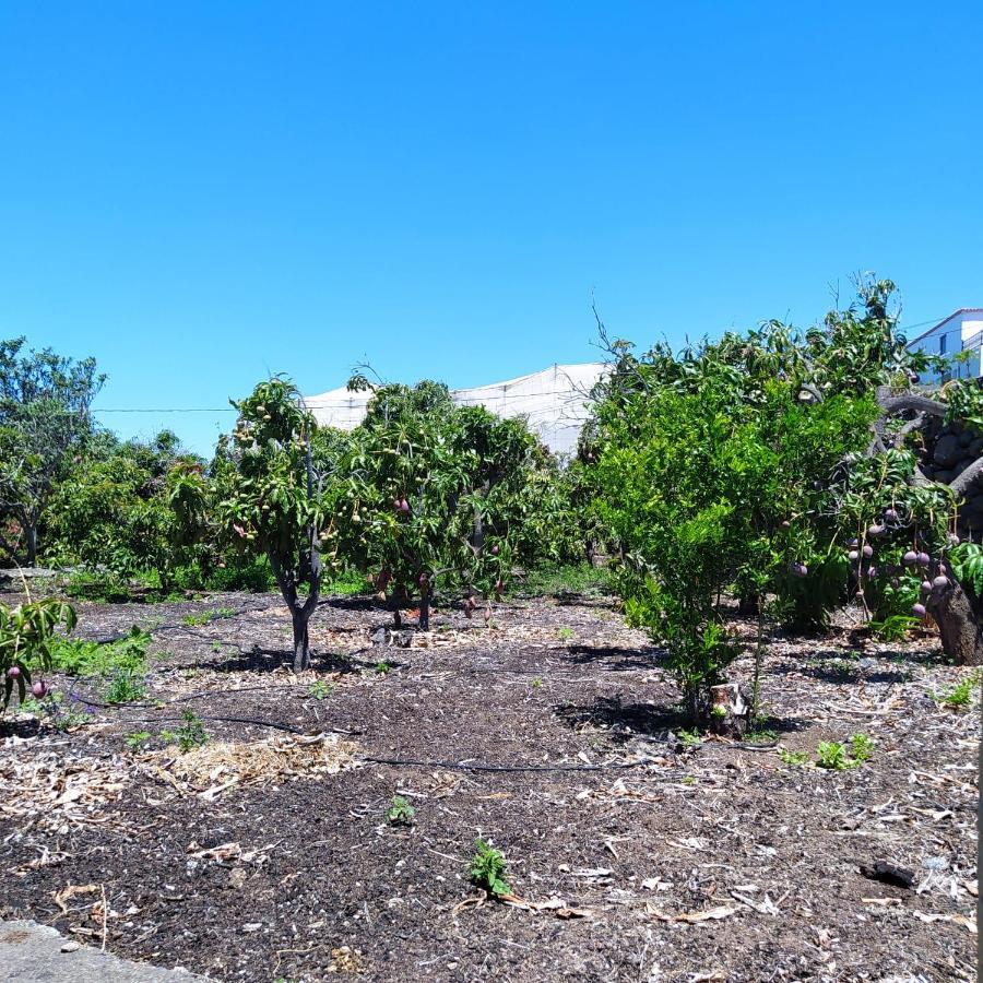 Casa Los Mangos Βίλα Tijarafe Εξωτερικό φωτογραφία